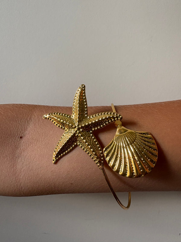 BRACCIALE
