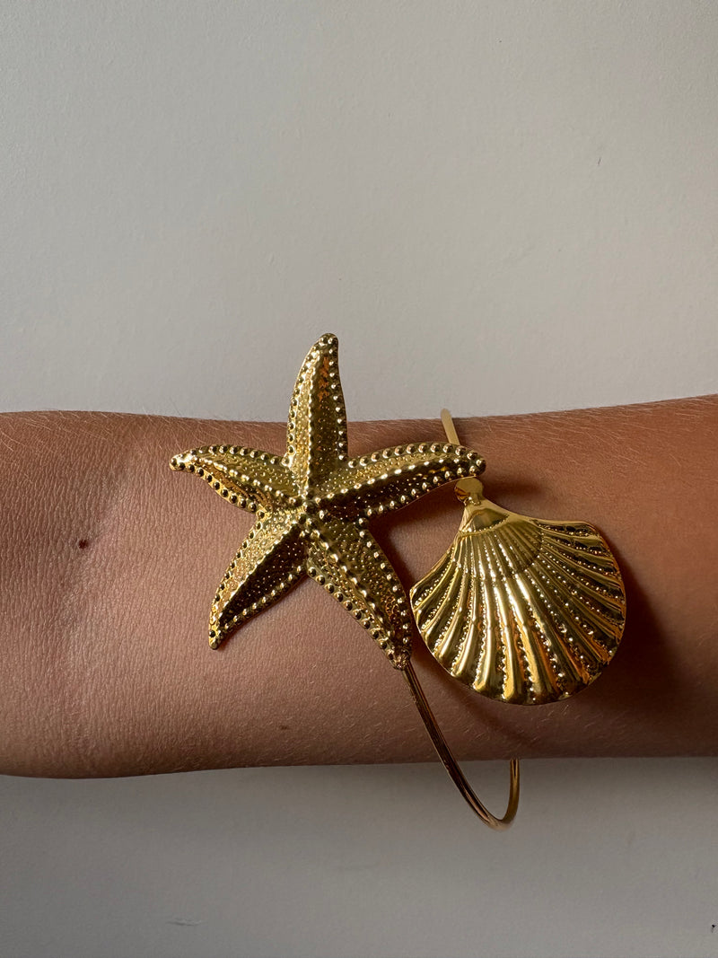 BRACCIALE