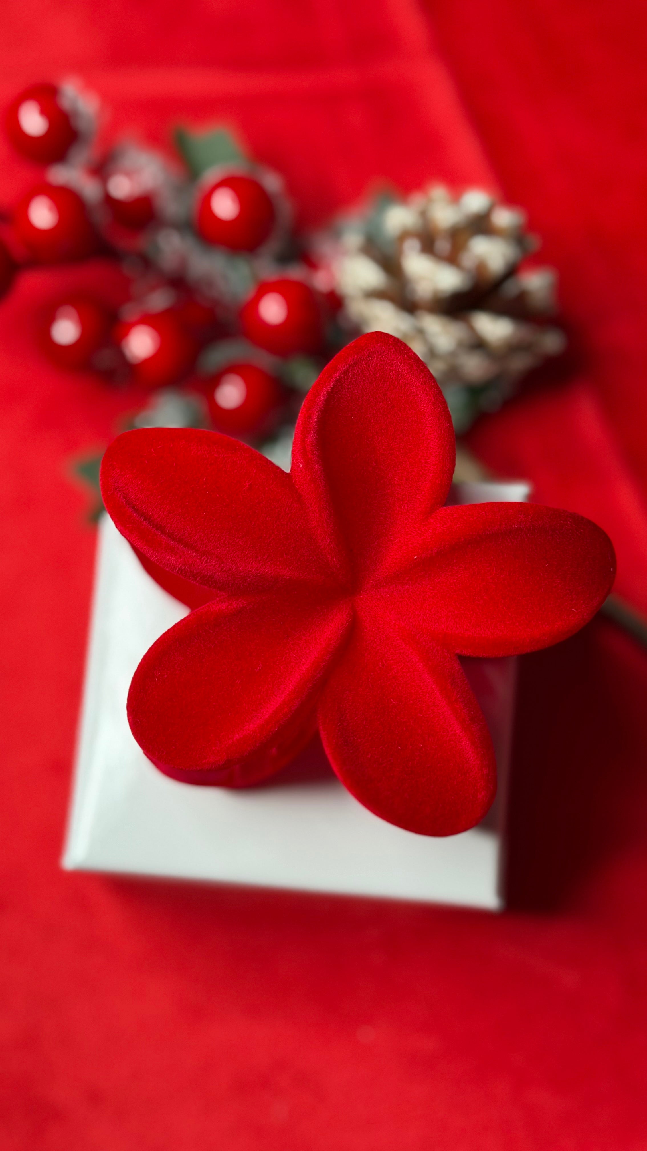 CHRISTMAS BOX✨🎁