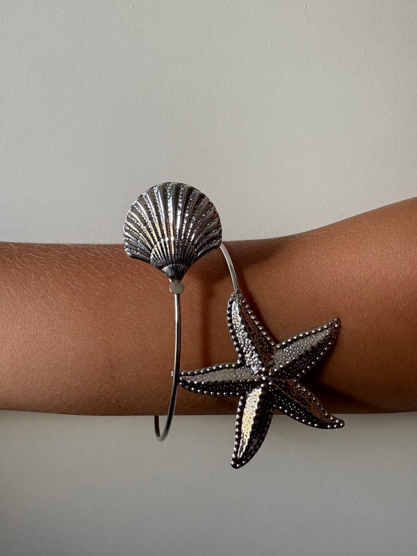 BRACCIALE